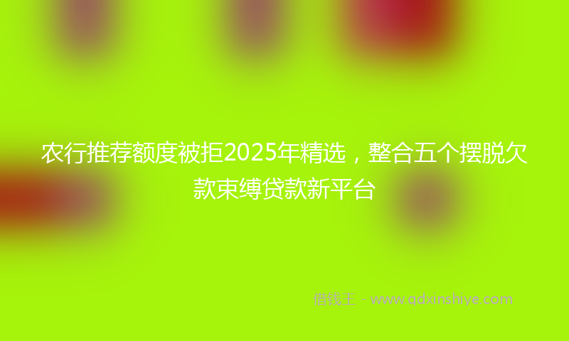 农行推荐额度被拒2025年精选，整合五个摆脱欠款束缚贷款新平台