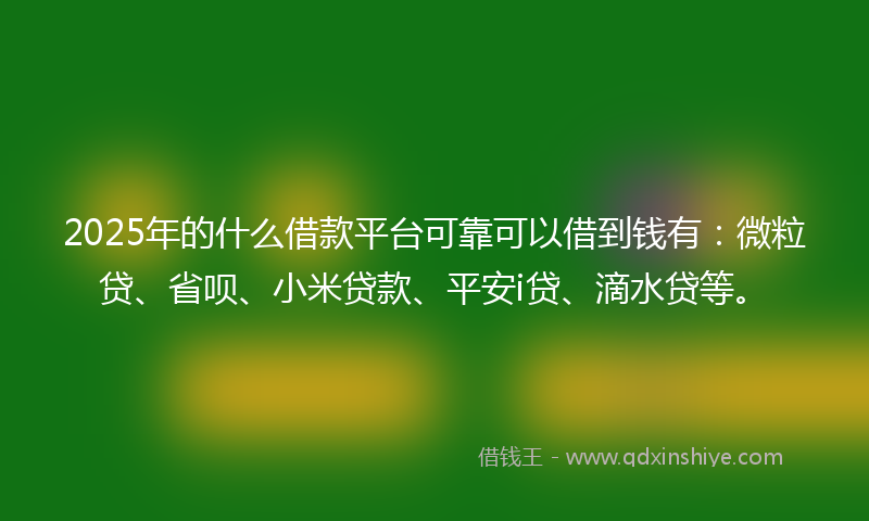 2025年的什么借款平台可靠可以借到钱有：微粒贷、省呗、小米贷款、平安i贷、滴水贷等。