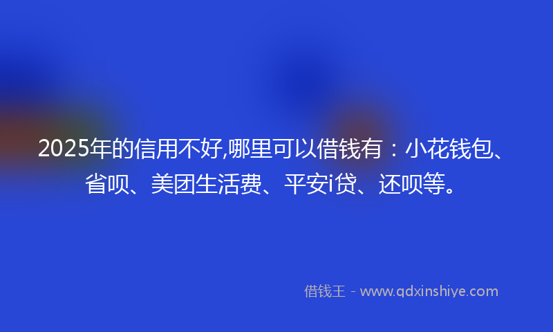 2025年的信用不好,哪里可以借钱有：小花钱包、省呗、美团生活费、平安i贷、还呗等。