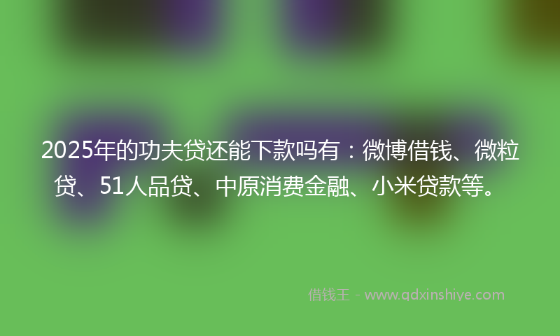 2025年的功夫贷还能下款吗有：微博借钱、微粒贷、51人品贷、中原消费金融、小米贷款等。
