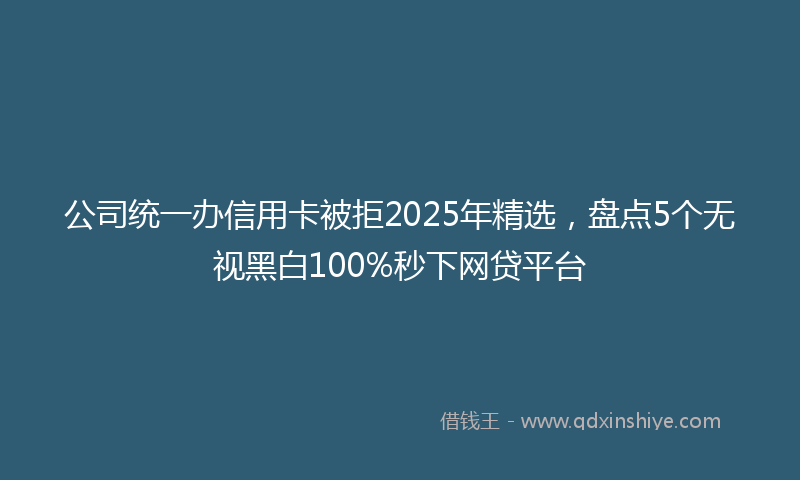 公司统一办信用卡被拒2025年精选，盘点5个无视黑白100%秒下网贷平台
