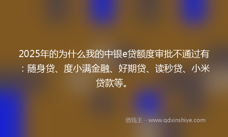 2025年的为什么我的中银e贷额度审批不通过有：随身贷、度小满金融、好期贷、读秒贷、小米贷款等。