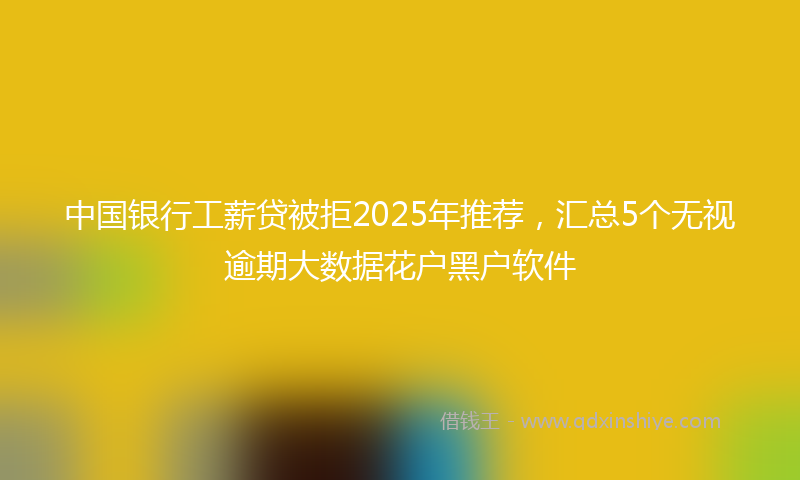 中国银行工薪贷被拒2025年推荐，汇总5个无视逾期大数据花户黑户软件