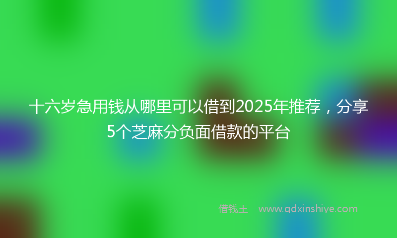 十六岁急用钱从哪里可以借到2025年推荐，分享5个芝麻分负面借款的平台