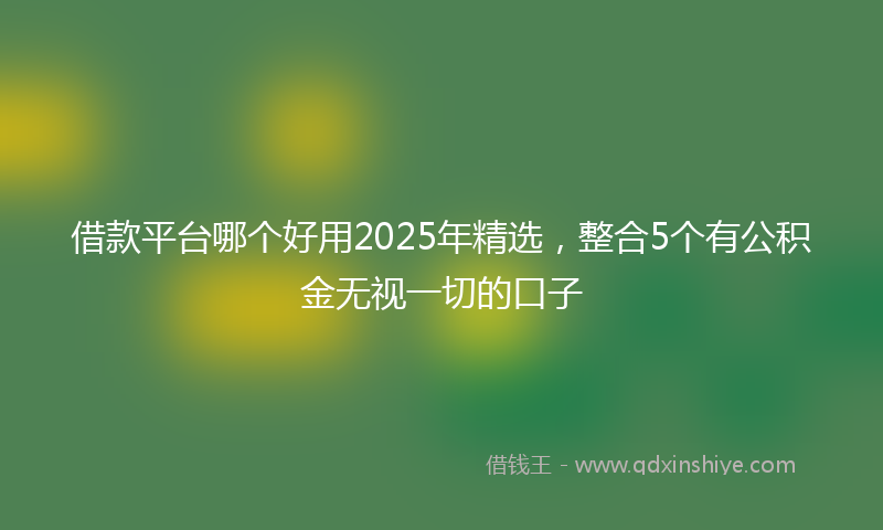 借款平台哪个好用2025年精选，整合5个有公积金无视一切的口子