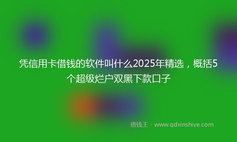 凭信用卡借钱的软件叫什么2025年精选，概括5个超级烂户双黑下款口子