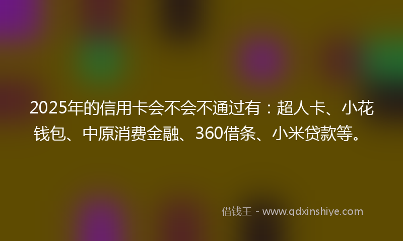 2025年的信用卡会不会不通过有：超人卡、小花钱包、中原消费金融、360借条、小米贷款等。