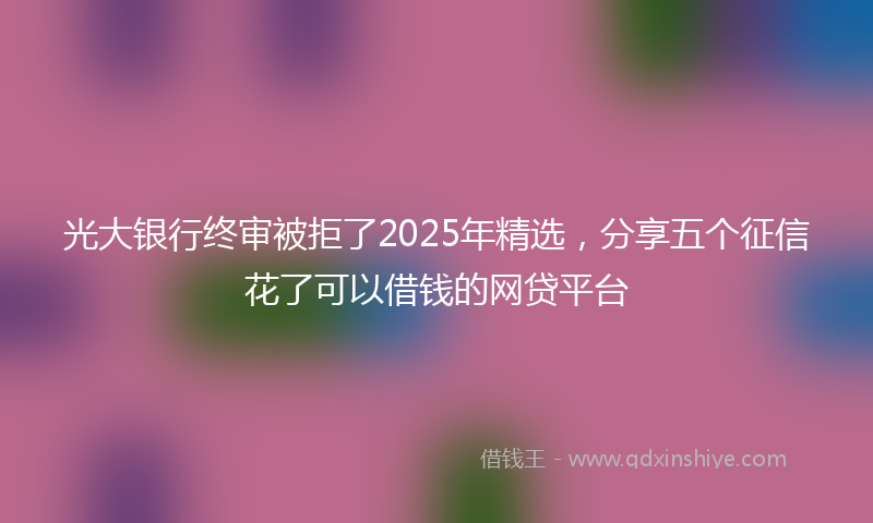 光大银行终审被拒了2025年精选，分享五个征信花了可以借钱的网贷平台