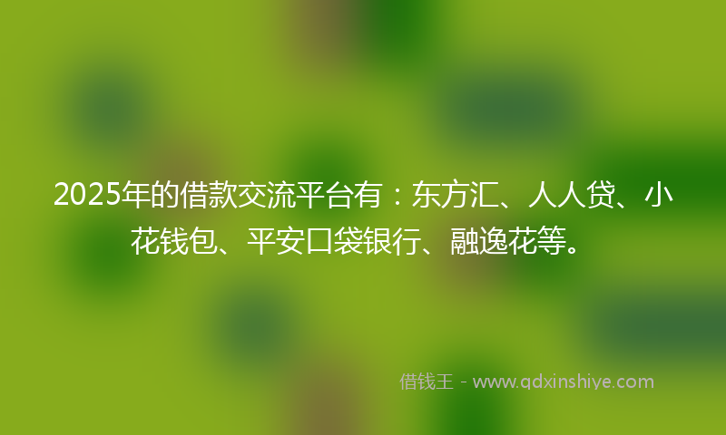 2025年的借款交流平台有：东方汇、人人贷、小花钱包、平安口袋银行、融逸花等。