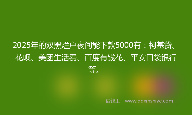 2025年的双黑烂户夜间能下款5000有：柯基贷、花呗、美团生活费、百度有钱花、平安口袋银行等。