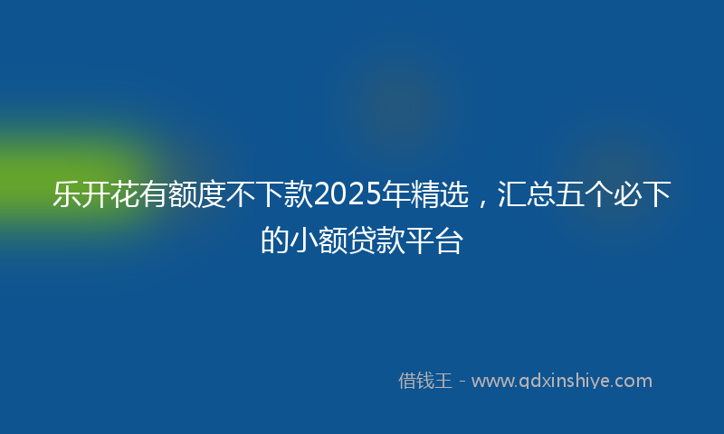 乐开花有额度不下款2025年精选，汇总五个必下的小额贷款平台