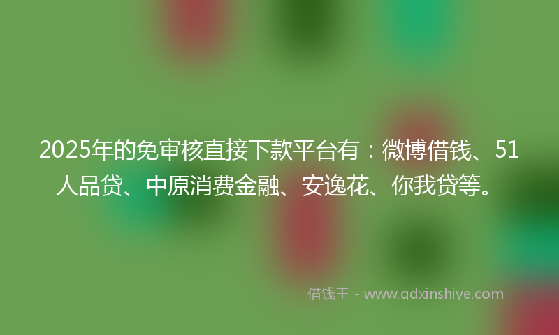 2025年的免审核直接下款平台有：微博借钱、51人品贷、中原消费金融、安逸花、你我贷等。