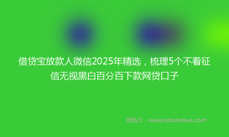 借贷宝放款人微信2025年精选，梳理5个不看征信无视黑白百分百下款网贷口子