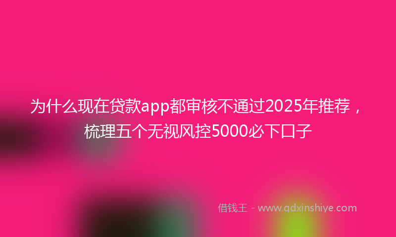 为什么现在贷款app都审核不通过2025年推荐，梳理五个无视风控5000必下口子