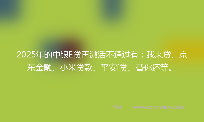 2025年的中银E贷再激活不通过有：我来贷、京东金融、小米贷款、平安i贷、替你还等。