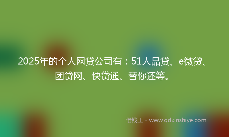 2025年的个人网贷公司有：51人品贷、e微贷、团贷网、快贷通、替你还等。