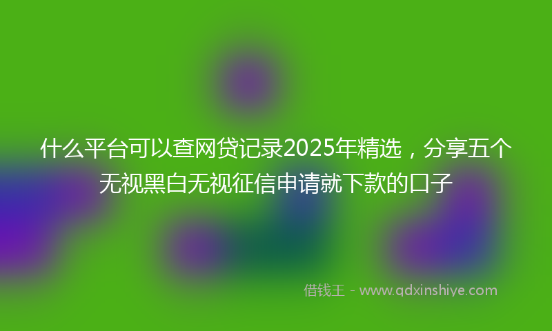 什么平台可以查网贷记录2025年精选，分享五个无视黑白无视征信申请就下款的口子