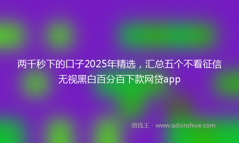 两千秒下的口子2025年精选，汇总五个不看征信无视黑白百分百下款网贷app