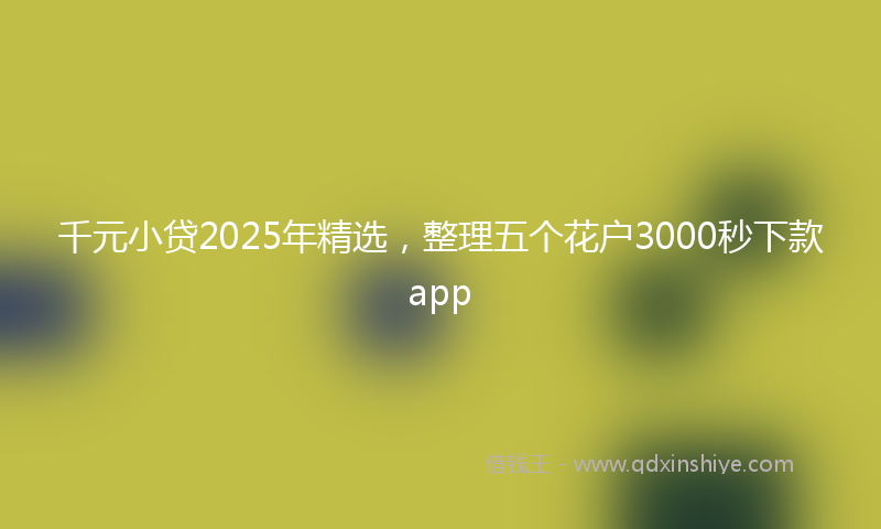 千元小贷2025年精选，整理五个花户3000秒下款app