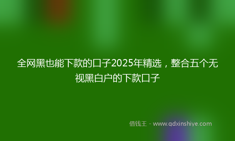 全网黑也能下款的口子2025年精选，整合五个无视黑白户的下款口子
