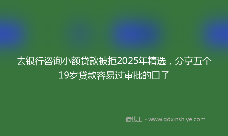 去银行咨询小额贷款被拒2025年精选，分享五个19岁贷款容易过审批的口子