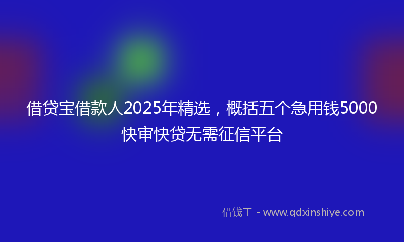 借贷宝借款人2025年精选，概括五个急用钱5000快审快贷无需征信平台