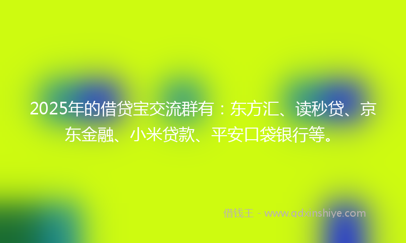 2025年的借贷宝交流群有：东方汇、读秒贷、京东金融、小米贷款、平安口袋银行等。