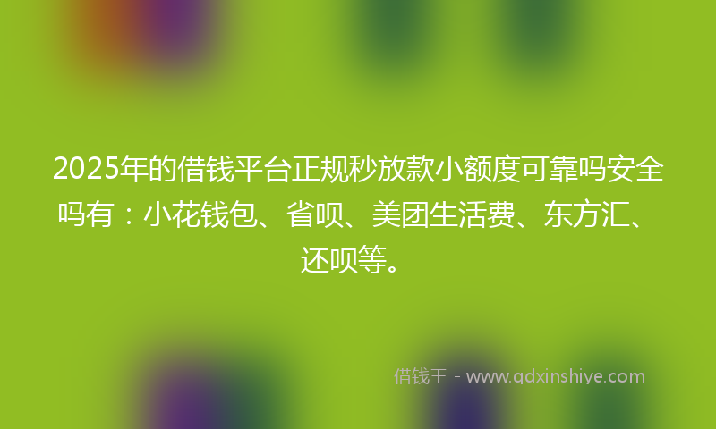 2025年的借钱平台正规秒放款小额度可靠吗安全吗有：小花钱包、省呗、美团生活费、东方汇、还呗等。