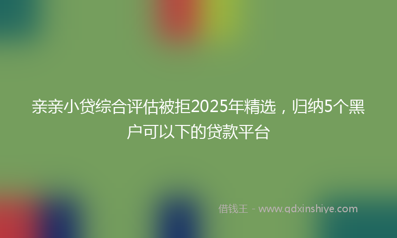 亲亲小贷综合评估被拒2025年精选，归纳5个黑户可以下的贷款平台