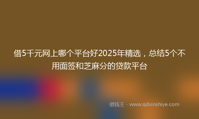 借5千元网上哪个平台好2025年精选，总结5个不用面签和芝麻分的贷款平台