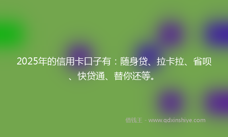 2025年的信用卡口子有：随身贷、拉卡拉、省呗、快贷通、替你还等。