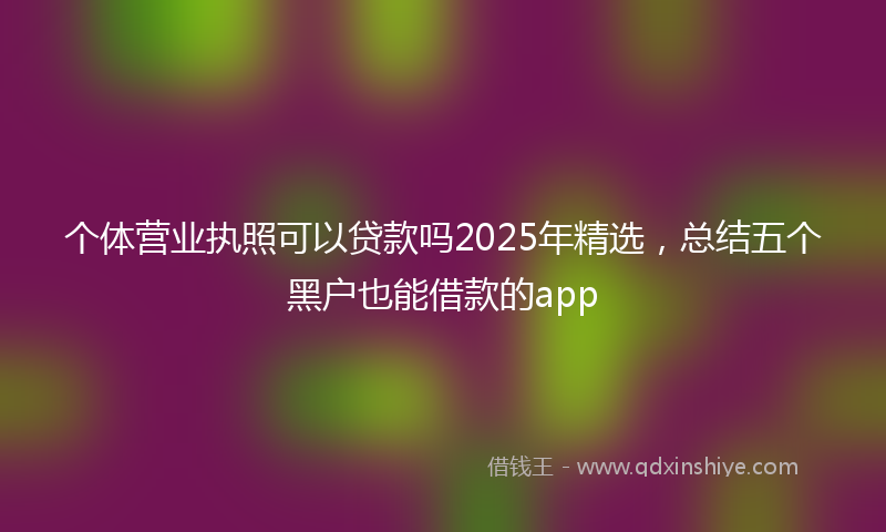 个体营业执照可以贷款吗2025年精选，总结五个黑户也能借款的app