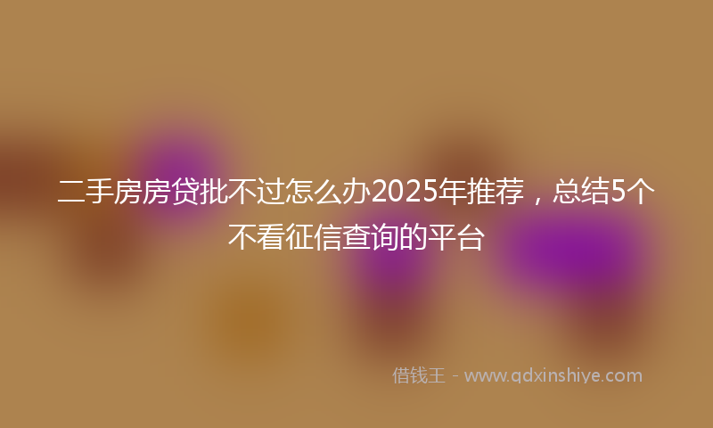 二手房房贷批不过怎么办2025年推荐，总结5个不看征信查询的平台