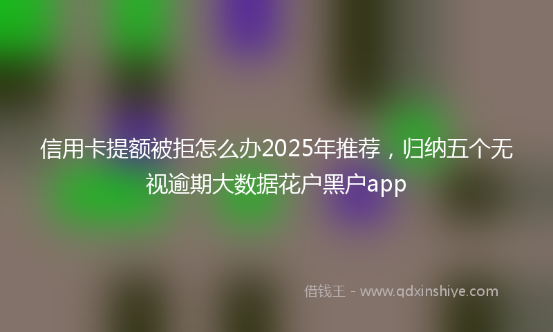 信用卡提额被拒怎么办2025年推荐，归纳五个无视逾期大数据花户黑户app