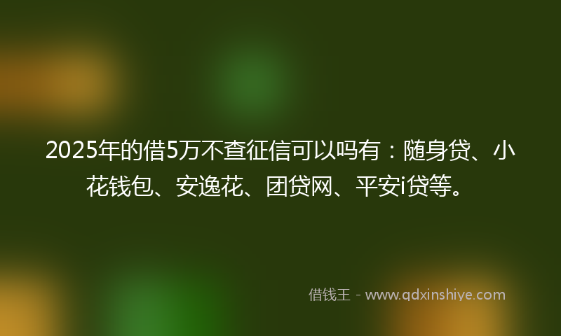 2025年的借5万不查征信可以吗有：随身贷、小花钱包、安逸花、团贷网、平安i贷等。
