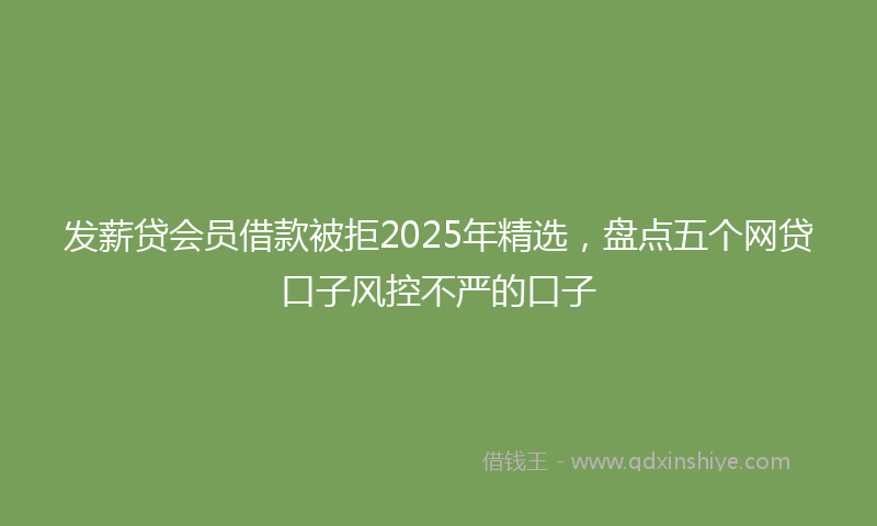 发薪贷会员借款被拒2025年精选，盘点五个网贷口子风控不严的口子