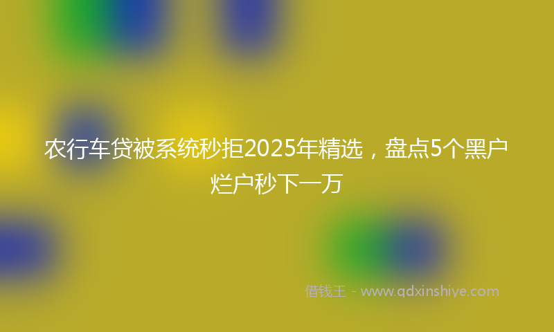 农行车贷被系统秒拒2025年精选，盘点5个黑户烂户秒下一万