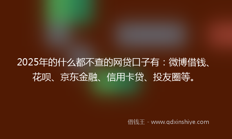 2025年的什么都不查的网贷口子有：微博借钱、花呗、京东金融、信用卡贷、投友圈等。
