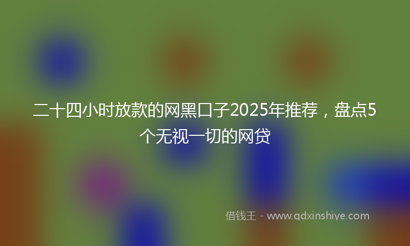 二十四小时放款的网黑口子2025年推荐，盘点5个无视一切的网贷
