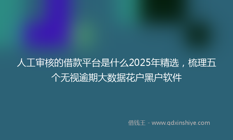 人工审核的借款平台是什么2025年精选，梳理五个无视逾期大数据花户黑户软件