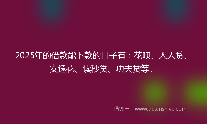 2025年的借款能下款的口子有：花呗、人人贷、安逸花、读秒贷、功夫贷等。