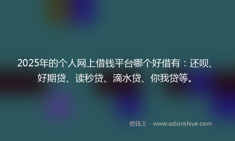 2025年的个人网上借钱平台哪个好借有：还呗、好期贷、读秒贷、滴水贷、你我贷等。