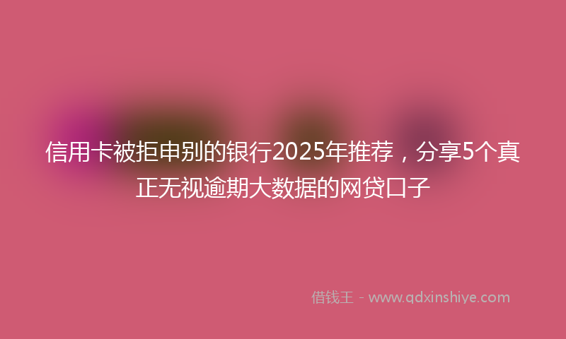 信用卡被拒申别的银行2025年推荐，分享5个真正无视逾期大数据的网贷口子
