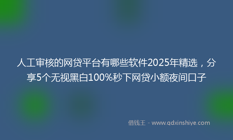 人工审核的网贷平台有哪些软件2025年精选，分享5个无视黑白100%秒下网贷小额夜间口子