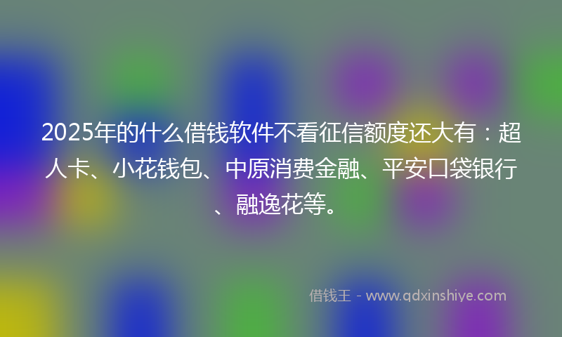 2025年的什么借钱软件不看征信额度还大有：超人卡、小花钱包、中原消费金融、平安口袋银行、融逸花等。
