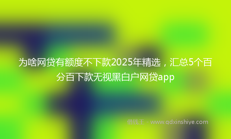 为啥网贷有额度不下款2025年精选，汇总5个百分百下款无视黑白户网贷app
