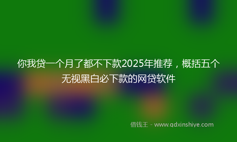 你我贷一个月了都不下款2025年推荐，概括五个无视黑白必下款的网贷软件