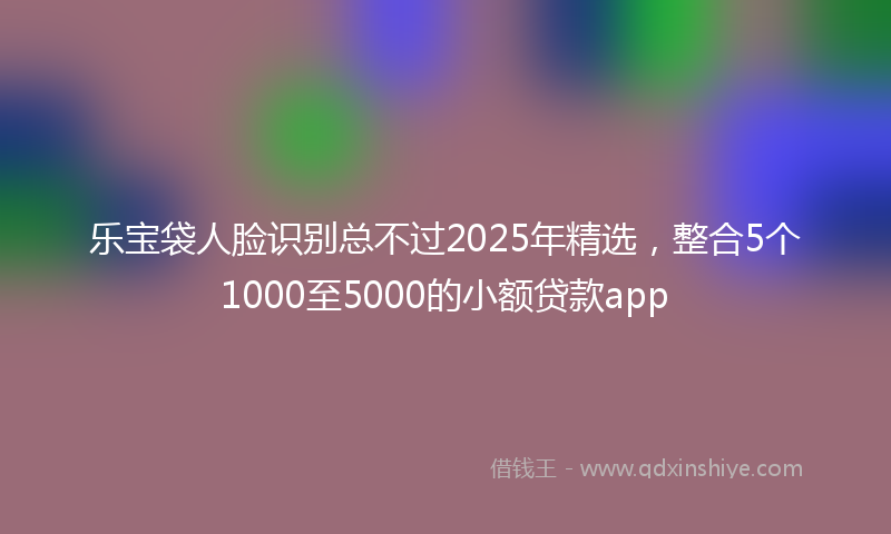 乐宝袋人脸识别总不过2025年精选，整合5个1000至5000的小额贷款app