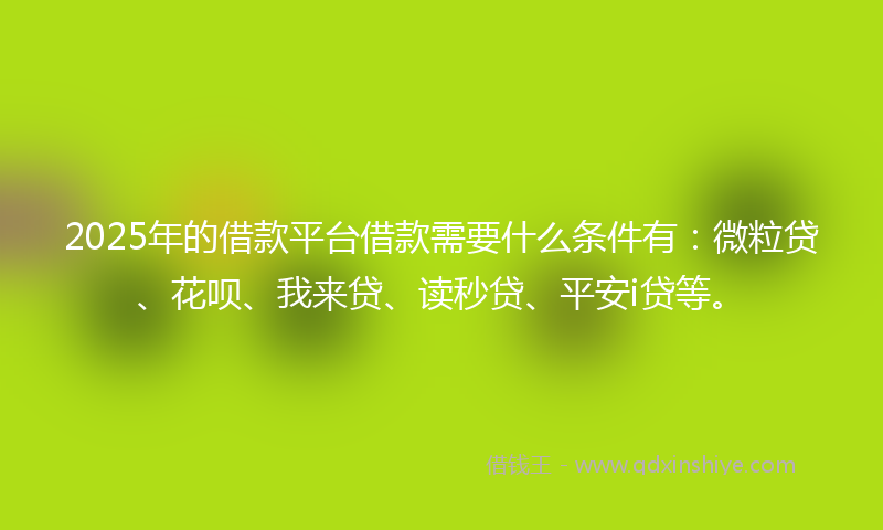 2025年的借款平台借款需要什么条件有：微粒贷、花呗、我来贷、读秒贷、平安i贷等。