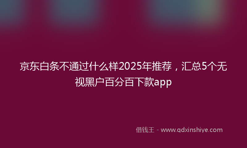 京东白条不通过什么样2025年推荐，汇总5个无视黑户百分百下款app